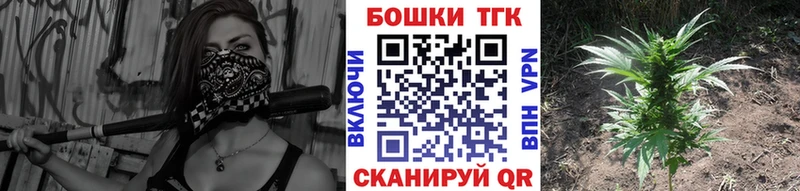 Альфа ПВП Старица