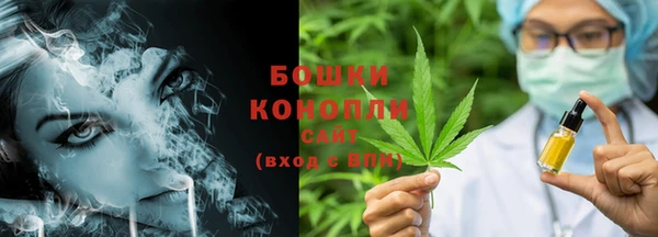 стафф Няндома